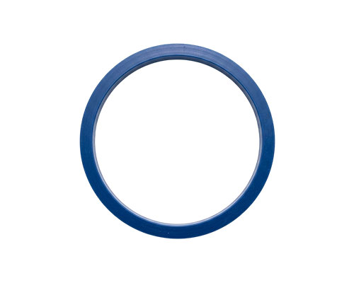 FKM Gasket